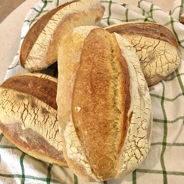Bread